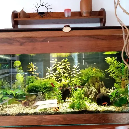 Apartmán Sea View *